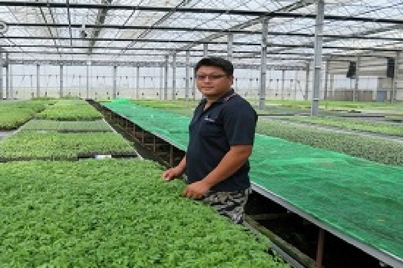 投資千萬級溫室　王俊國育苗場抵住強風