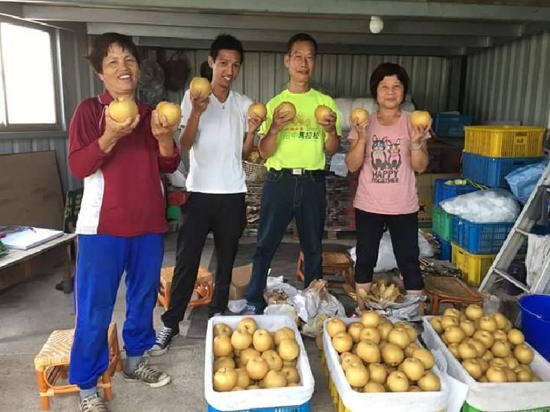 導入大數據系統管理 許智雄以鳳嬌梨開創新願景