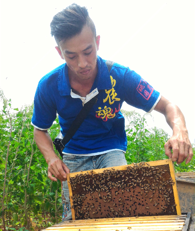養蜂人劉康祥，十年換來頭等獎甜蜜滋味
