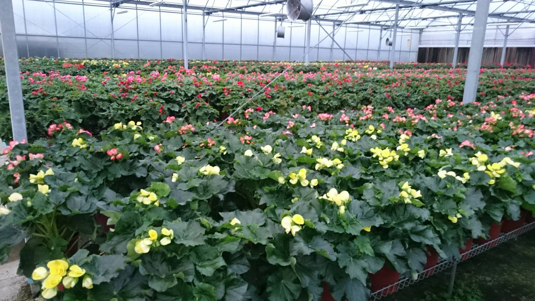 萬麗園藝推廣中心