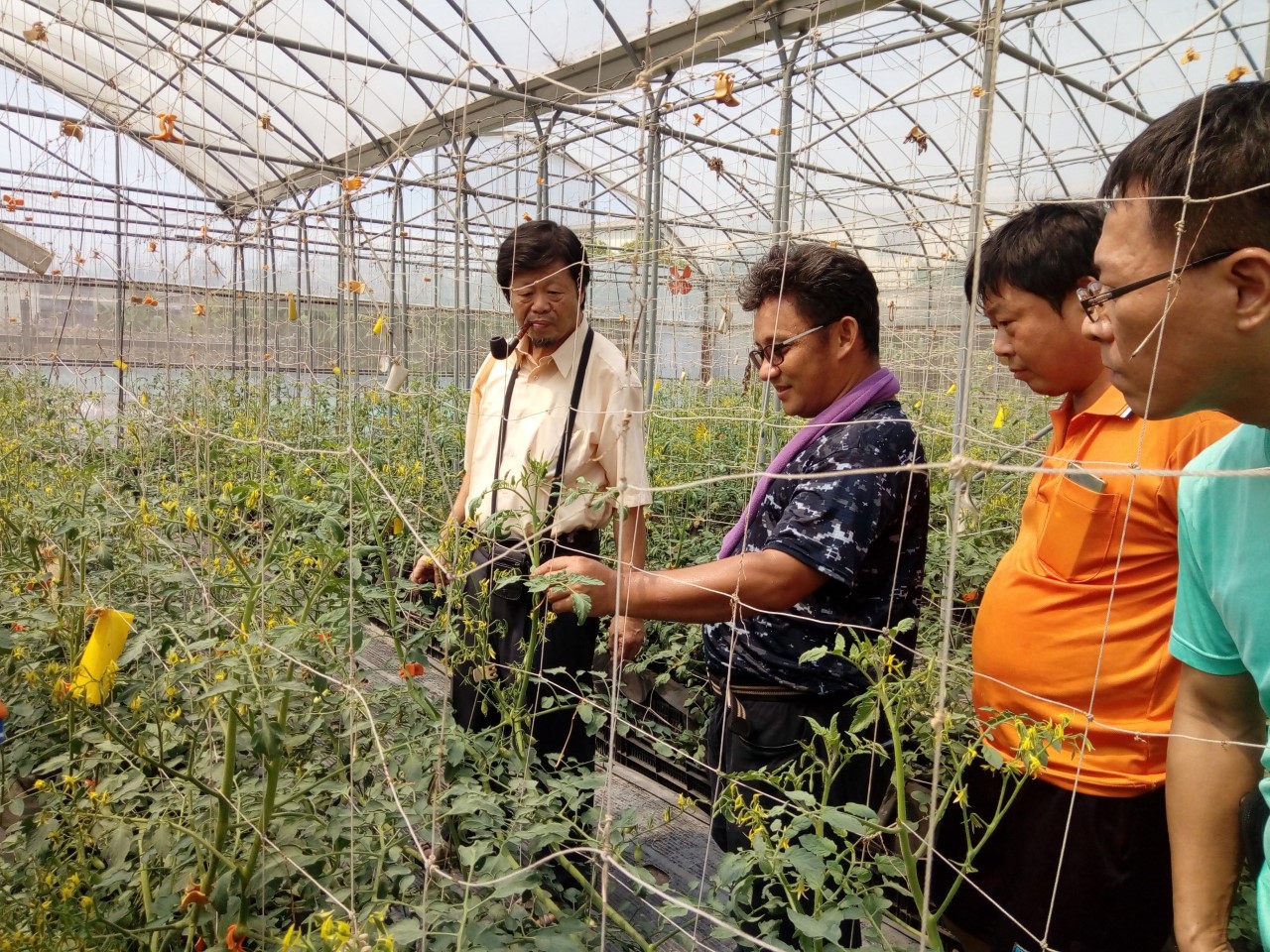 幸福の味農園(臺中市烏日區蔬菜產銷班第1班)
