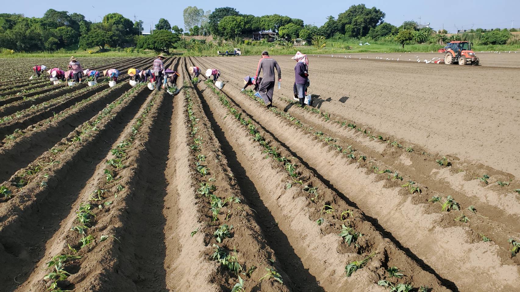 翔泰農業科技有限公司